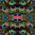 Eye of the Peacock =€ 342,50