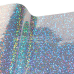 iSEE2 - Flake Silver (40.901N)